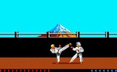 Karateka - DOSBOX